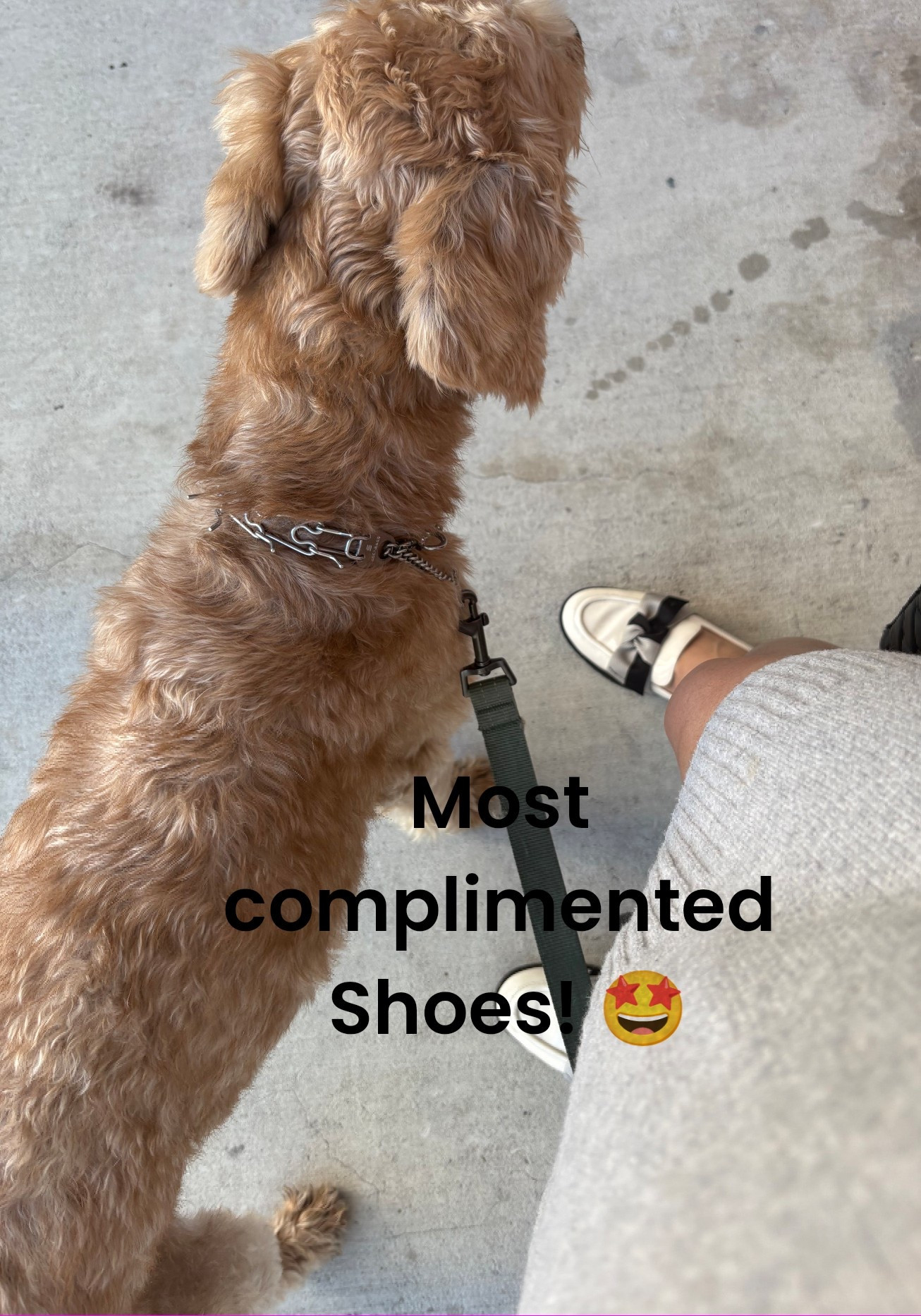 #LTKGiftGuide #LTKCyberWeek #LTKHoliday