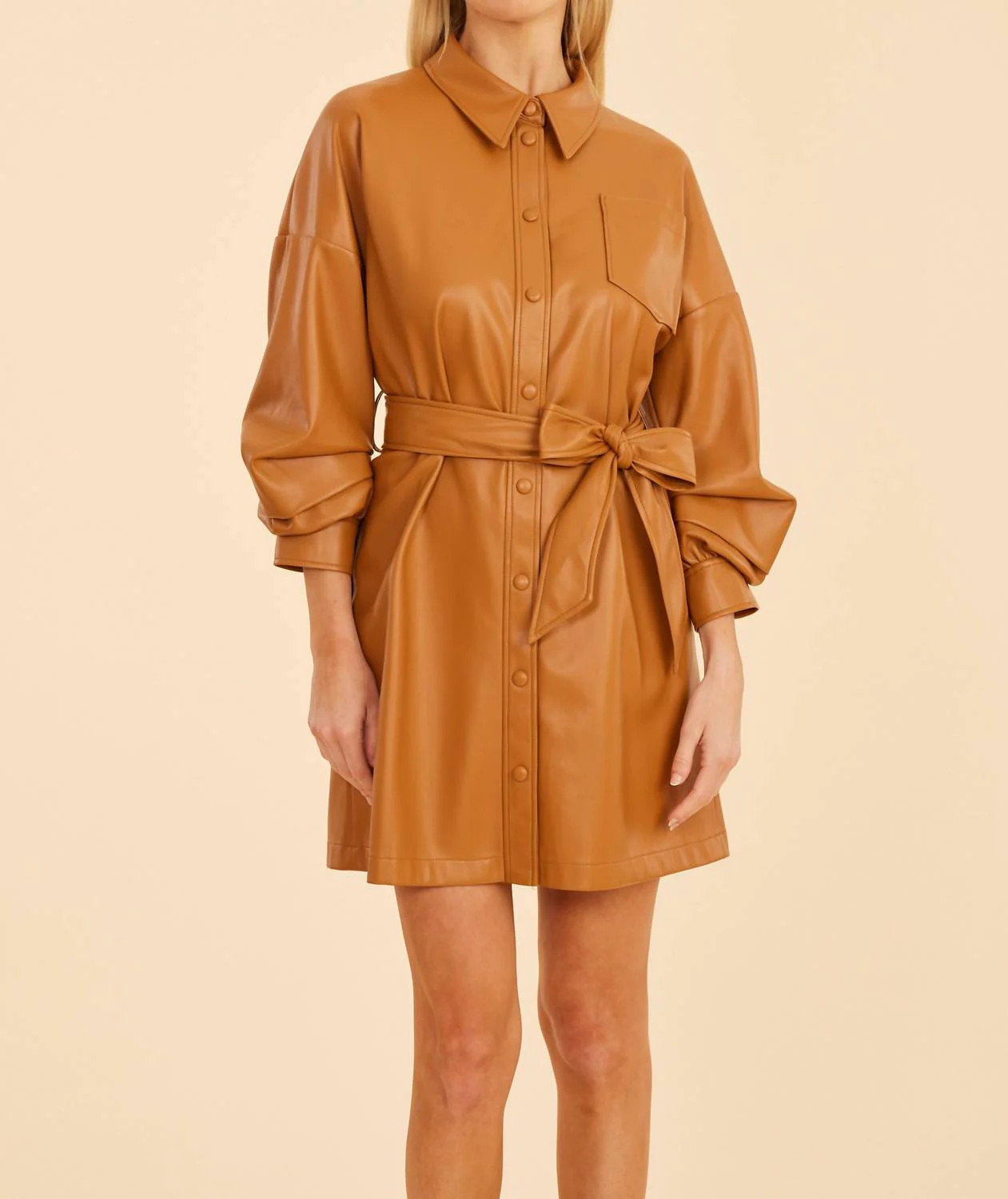 Vegan Leather Ruched Sleeve Dress In Burnt Orange | Shop Simon