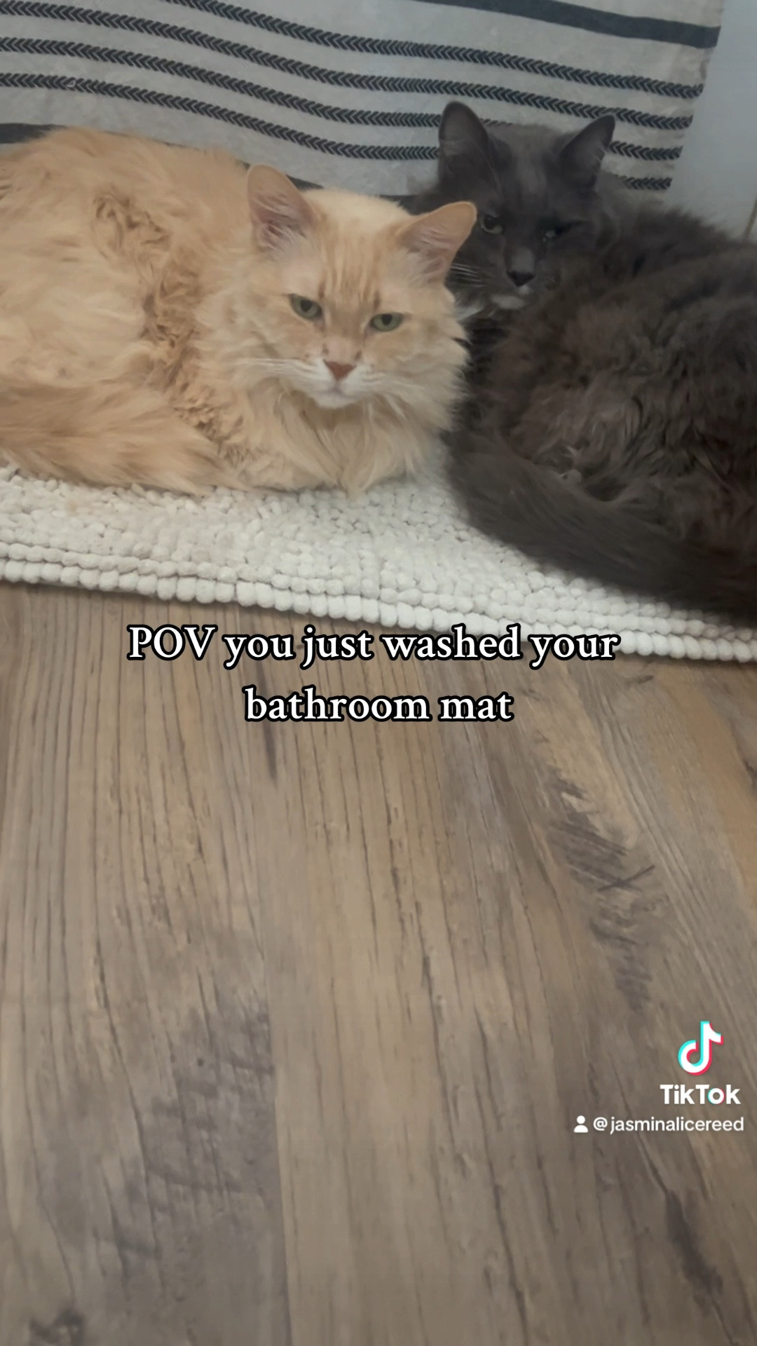 At least it’ll be warm?🤷🏻‍♀️ 

#LTKhome #LTKfamily #LTKVideo