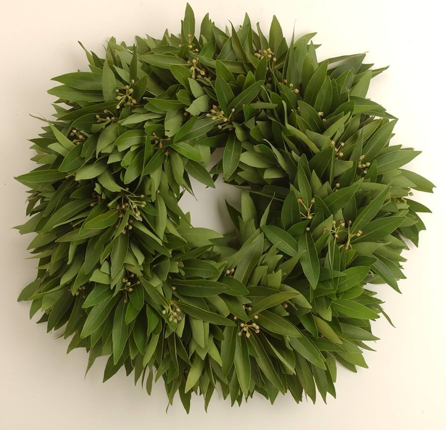 Fresh Bay Leaf Wreath - Original 16" | Amazon (US)