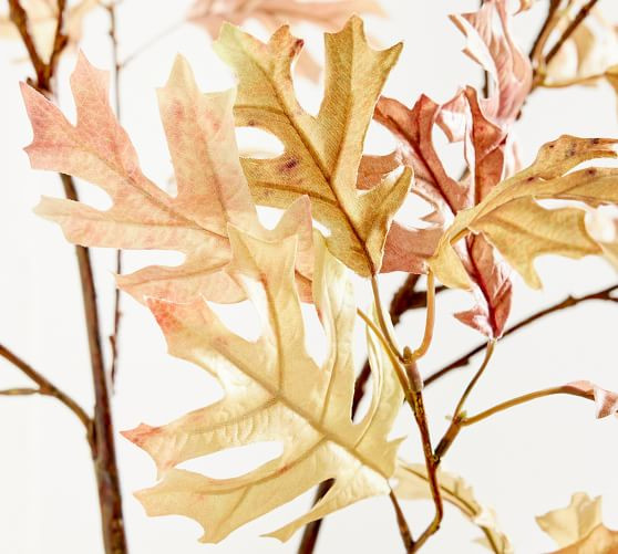 Faux Oversized Bleached Oak Branch - 60" | Pottery Barn (US)