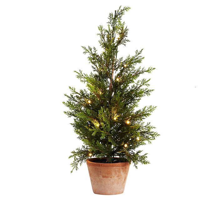 Pre-Lit Potted Faux Juniper Trees | Pottery Barn (US)