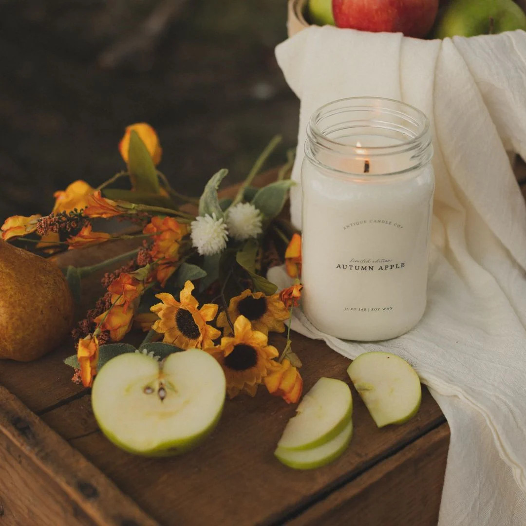 Autumn Apple 16 oz candle | Antique Candle Co.