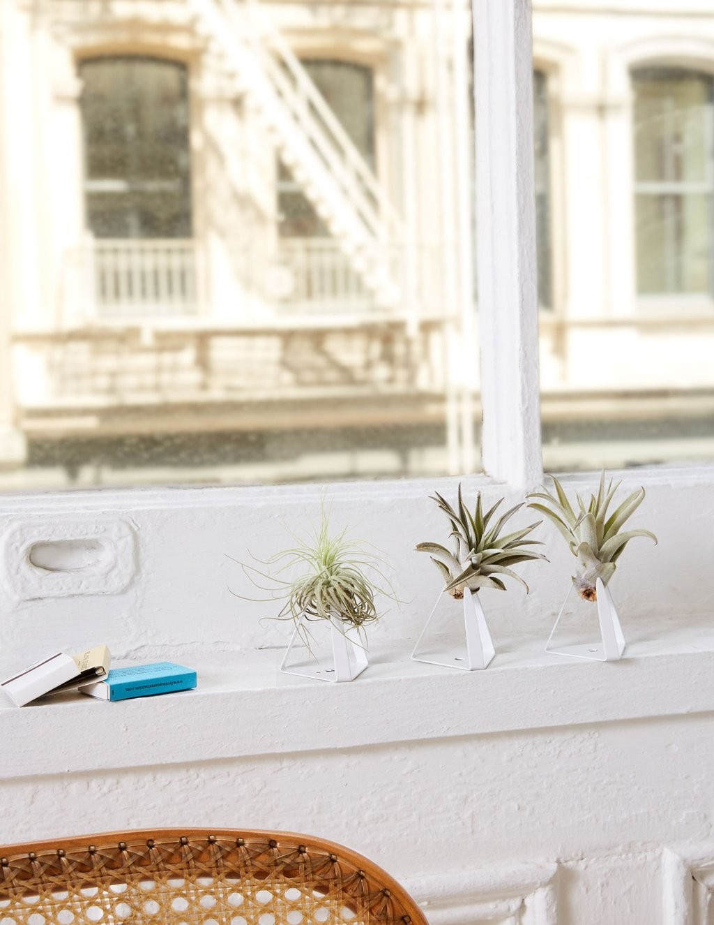 Tillandz Air Plant Stand Set | The Sill