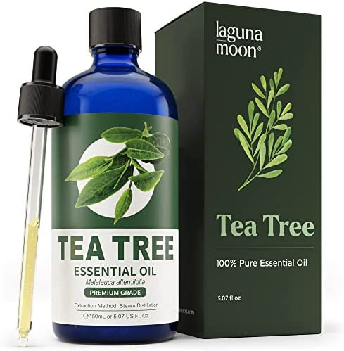 Tea Tree Essential Oil - XXL Bottle w/Organic Drops for Skin, Face, Hair, Scalp, Nails - Fragranc... | Amazon (US)