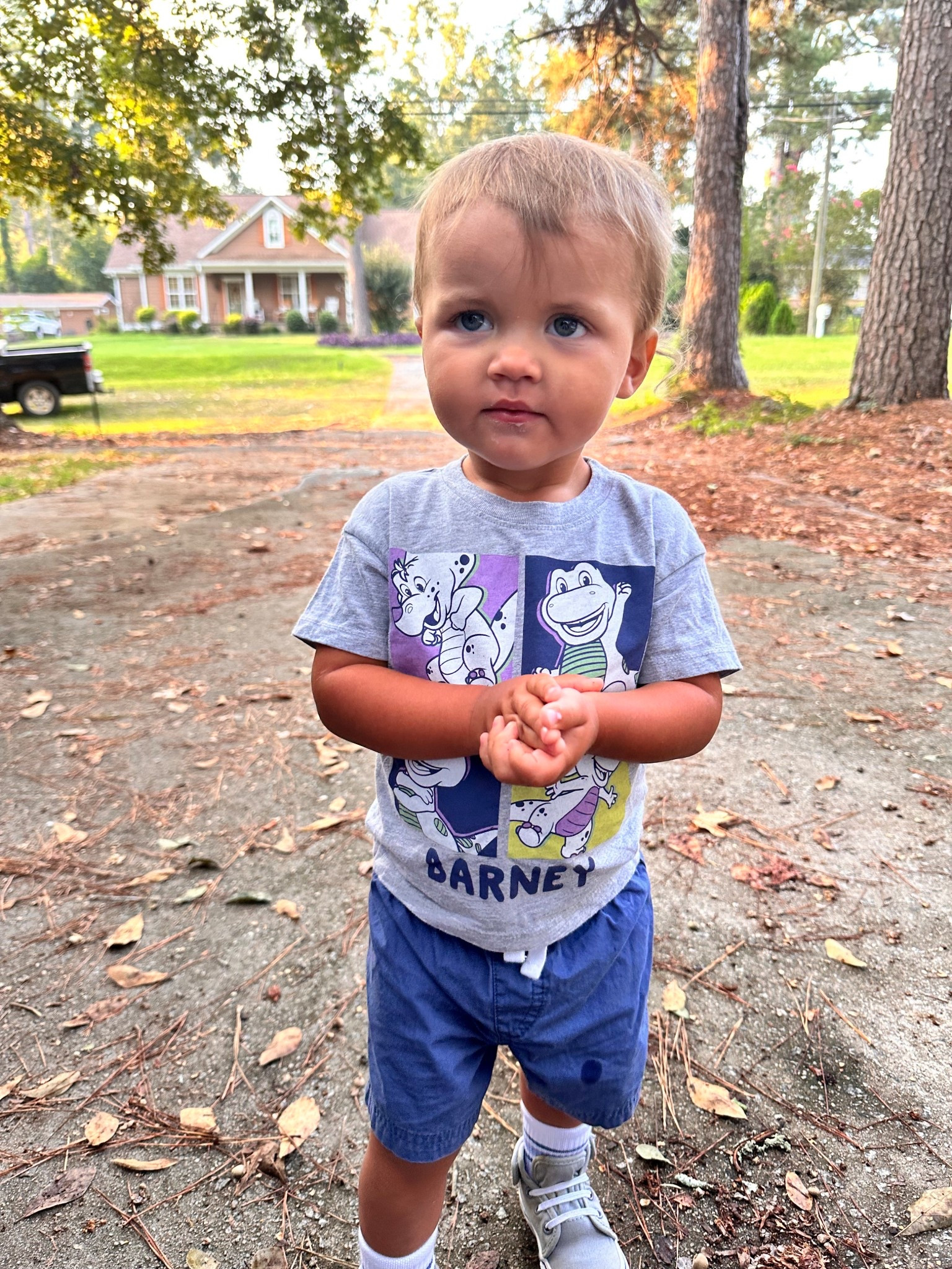 Barney graphic tee 

#LTKBaby #LTKSeasonal #LTKFindsUnder100