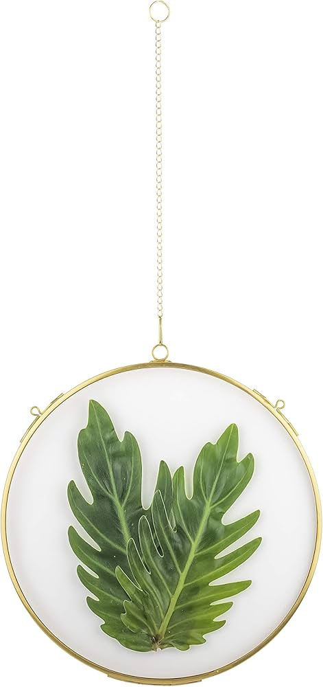 NCYP 8" Hanging Herbarium Frame Gold, Brass Round Glass Frame for Pressed Dried Flowers, Double G... | Amazon (US)