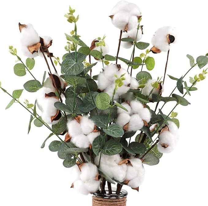 CEWOR 6pcs Cotton Stems 23.5" Cotton Flowers 4 Cotton Heads with Eucalyptus Leaves Per Stem Cotto... | Amazon (US)
