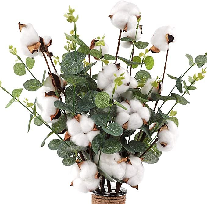 CEWOR 6pcs Cotton Stems 23.5" Cotton Flowers 4 Cotton Heads with Eucalyptus Leaves Per Stem Cotto... | Amazon (US)