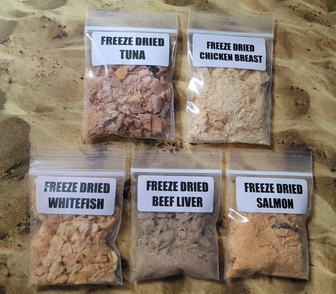 The Hermit Crab Shack "meats" Pack | Hermit Crab Food - Etsy | Etsy (US)