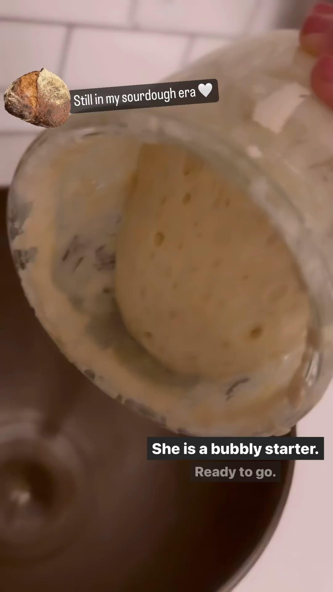 Sourdough, sourdough! I’ve been in my sourdough era for over a year now and have some tried and true ways. Wanted to link all the items I use and message me for a fool proof simple recipe!

#LTKKids #LTKFamily