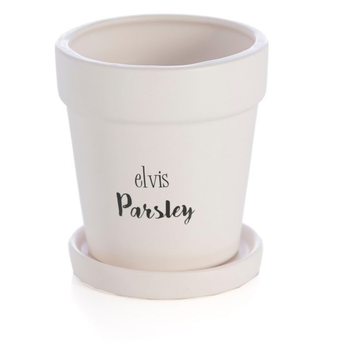 "Elvis Parsley" Planter  - White - Shiraleah | Target