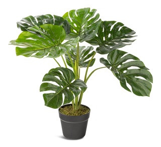 Naturae Décor Artificial Indoor Monstera Leaf Plant, 23-in | Canadian Tire