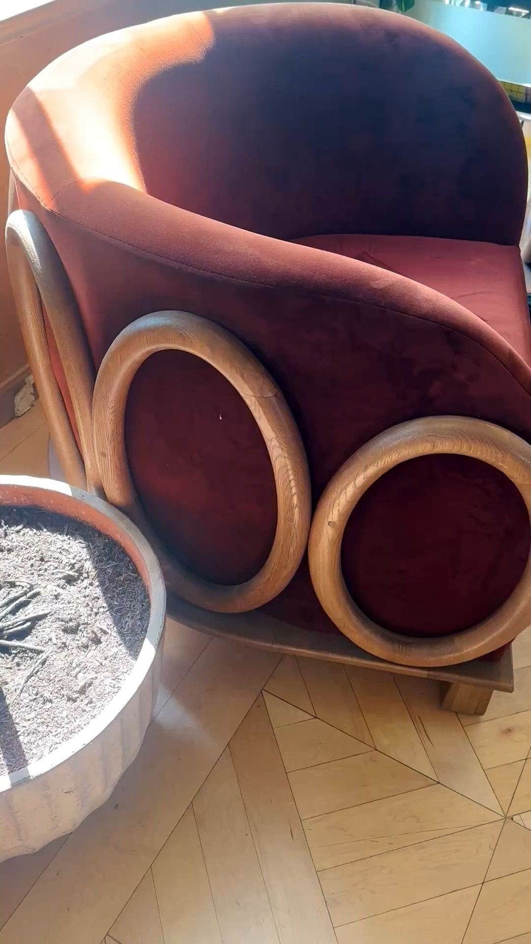 Perfect for late afternoon lounging. Loving the plush velvet, warm wood accents, and that irresistibly deep seat made for sinking in. Memorial Day Sale is on.

#loungechair #accentchair #velvetchair #livingroomrefresh #interiorinspo #modernchic #cozychic #homedecor #woodfurniture #designfinds #memorialdaysale #ltkhome

#LTKdayinmylife #LTKHome #LTKSaleAlert