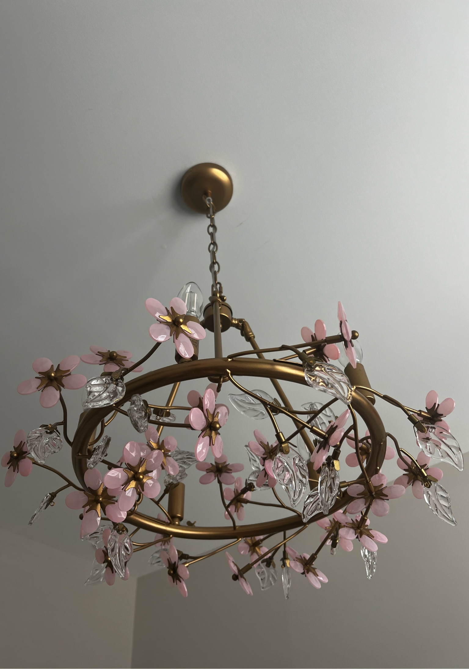 The most perfect light fixture from Pottery Barn Kids for sweet baby girl’s nursery!

Each flower piece is glass and looks so beautiful when the lights reflect off of each of the little pieces🤍

#nurserydecor #babygirl #girlnursery #lighting

#LTKBaby #LTKKids #LTKBump