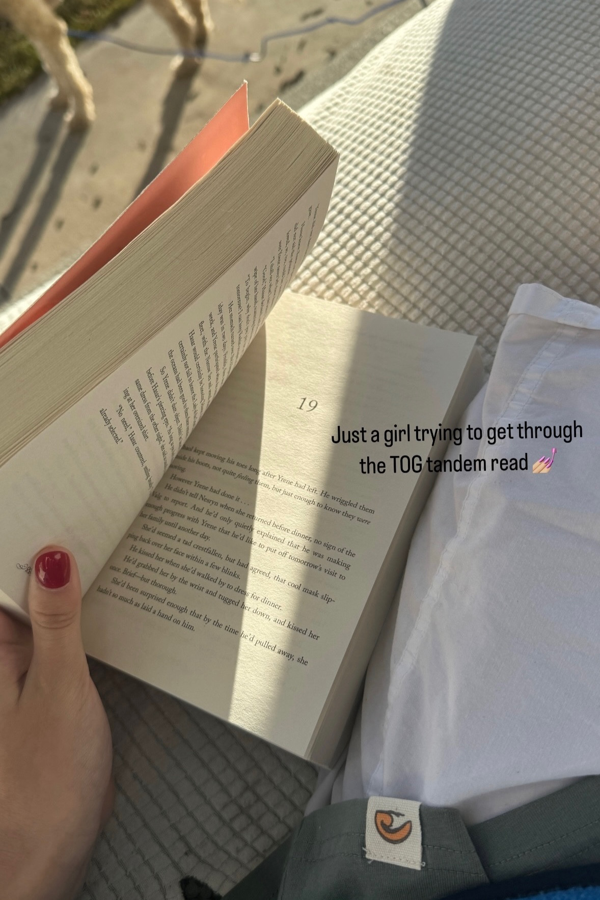 My sisters have been converting my to a throne of glass lover! I’m tandem reading the last two books rn

#LTKMostLoved #LTKfindsunder50 #LTKGiftGuide