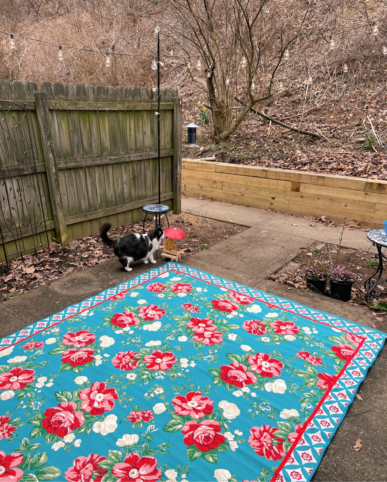 Outdoor rug, large outdoor rug, outdoor floral rug, outdoor lights, outdoor string lights, patio decor, outdoor decor, patio lights 

#LTKSeasonal #LTKhome #LTKunder100