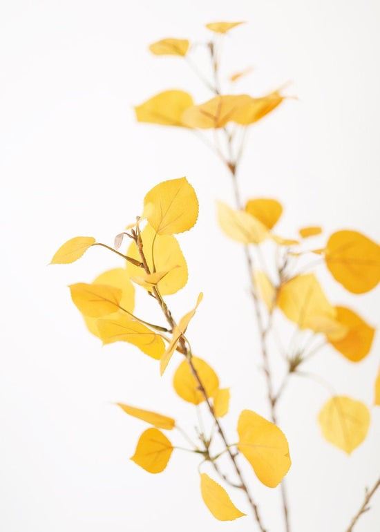 Artificial Aspen Leaf in Yellow Gold - 40 | Afloral (US)