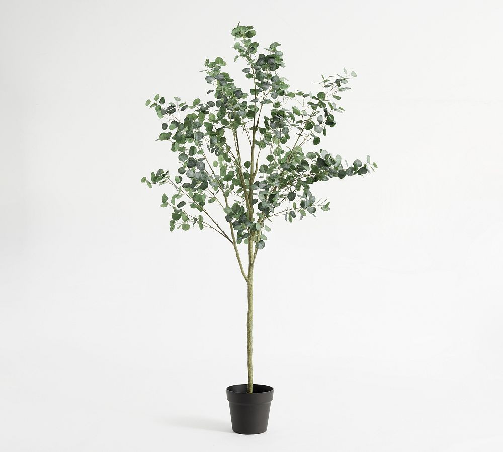 Faux Silver Dollar Eucalyptus Tree | Pottery Barn (US)