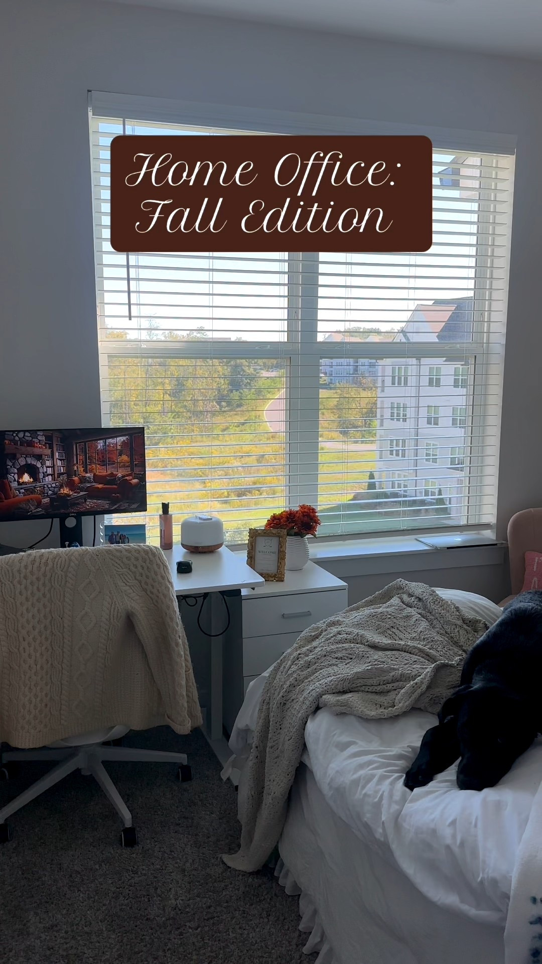 Cozy knits, fall ambient rooms, warm colors, and a sleeping puppy 🤎🍂 What more could a gal want in her office in fall?!! I love decorating my office for the seasons, it makes coming in every morning so fun & exciting!! 

#LTKPets #LTKHome #LTKSeasonal