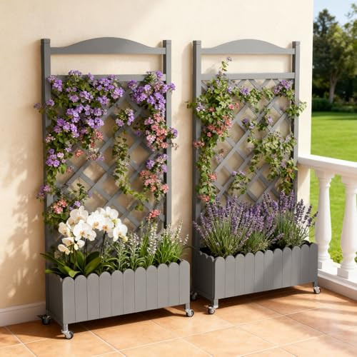 COMHOMA 2 Pack Raised Garden Bed with Trellis and Wheels,48Inch Elevated Planter Box with Drainage Holes,Lattice Privacy Screen for Climbing Plants Vegetables,Outdoor for Patio Balcony Yard,Gray | Amazon (US)