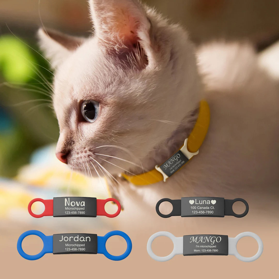 Cat Tags - Slide on Pet Tag - Custom Slide on Cat Id Tag - Cat Name Tag Silent - No Noise Slide C... | Etsy (US)