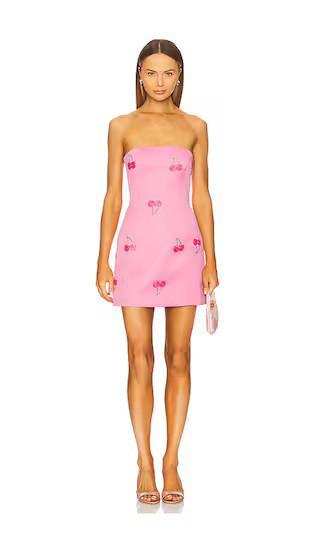 Roselle Embellished Bustier Mini Dress in Pink Cherry Beading | Revolve Clothing (Global)