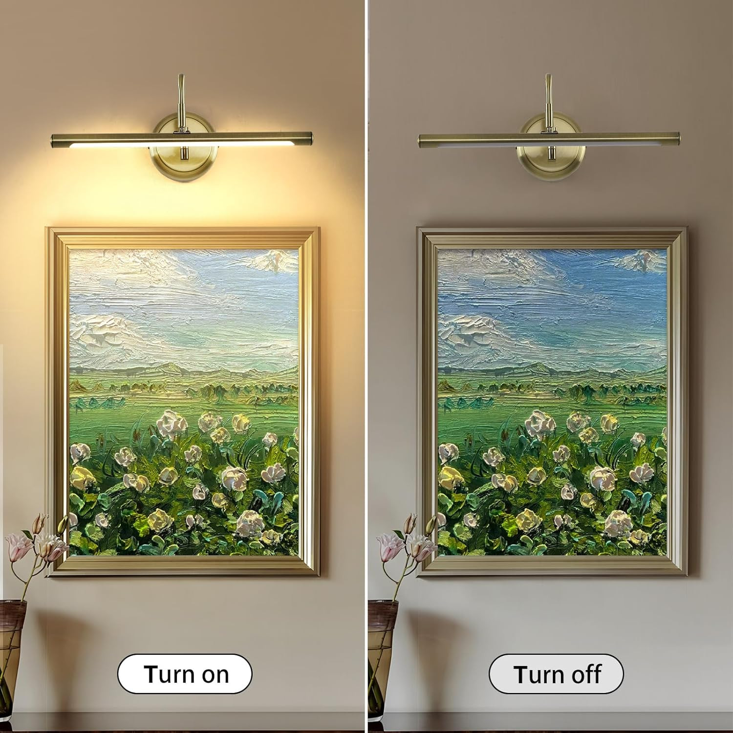 JOOSENLUX Modern LED Picture Lights Fixtures,Art Decor Metal Artwork Mini Accent Spotlights 16.54... | Amazon (US)