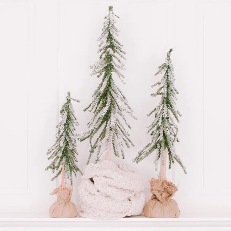 Tree Collar | Wayfair North America