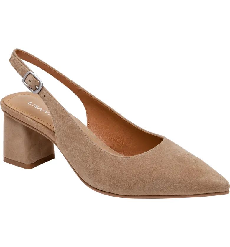 Zee Pointed Toe Slingback Pump | Nordstrom