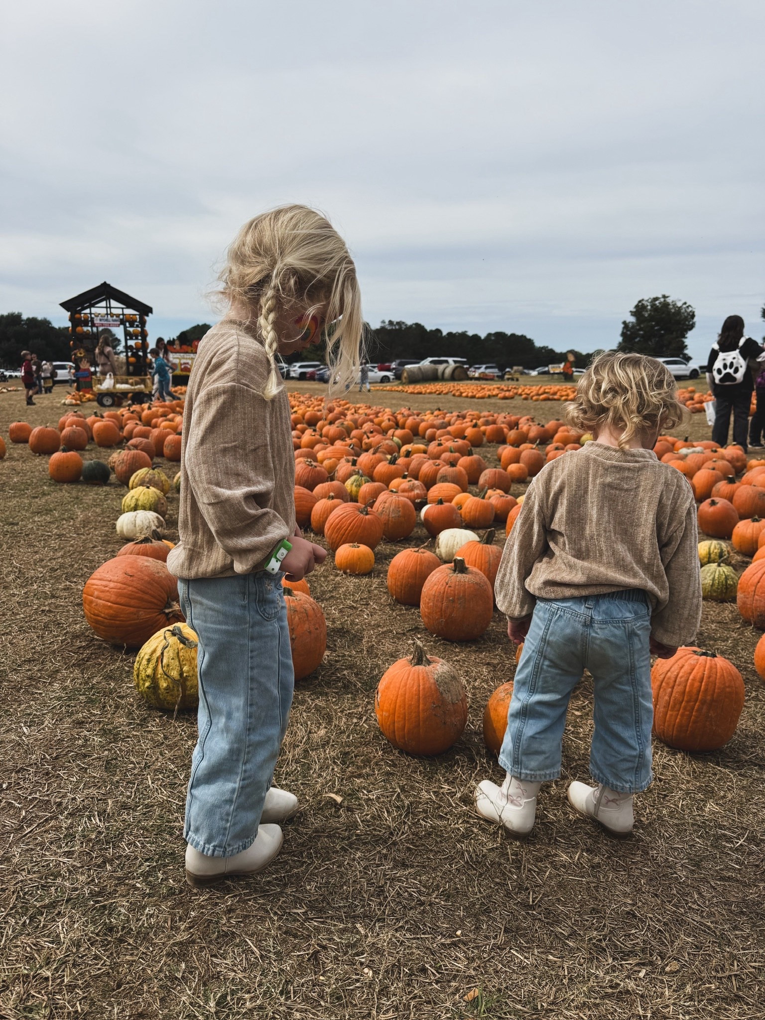 Got the girls these tops from old navy and they’re the perfect light weight sweaters for fall!

#LTKKids #LTKSeasonal #LTKStyleTip