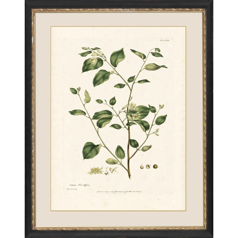 Styrax by Wendover Art Group | Wayfair North America