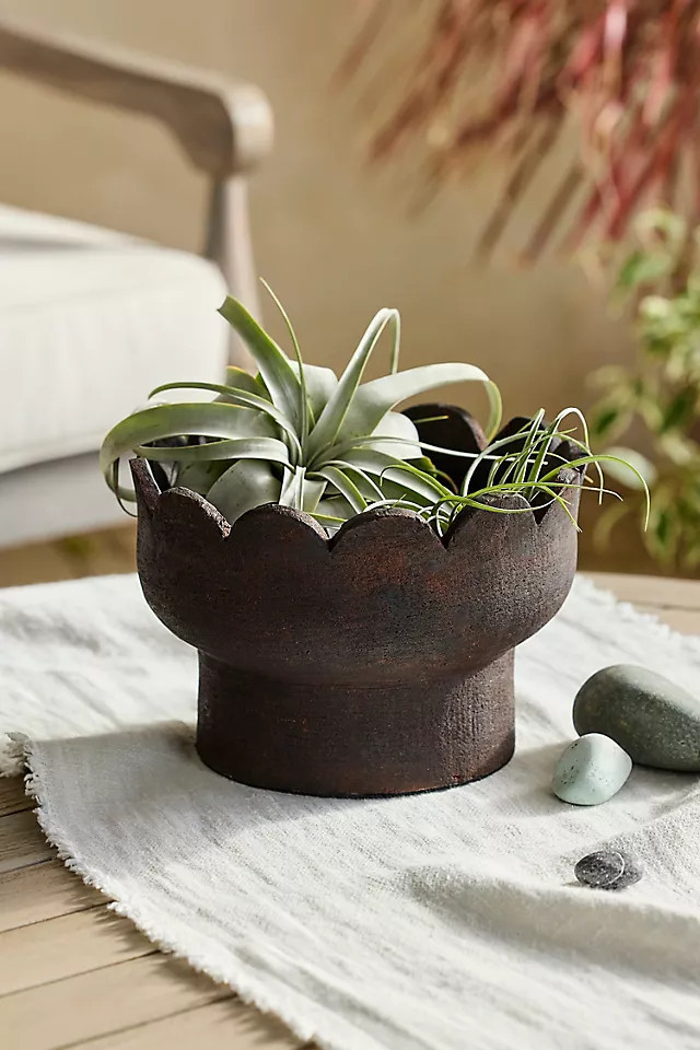 Scallop Edge Terracotta Bowl Planter | Anthropologie (US)