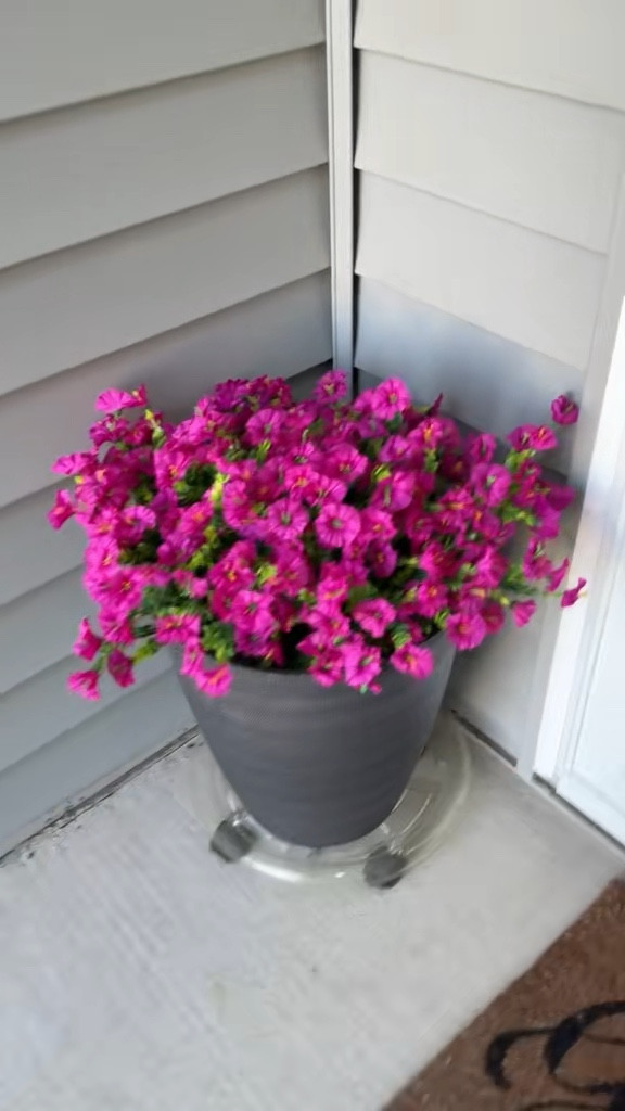 If you’re a summer traveler and can’t always water 💧 your planters as needed but still want to add BEAUTY to your porches & patios,then you need these silk flowers! 

Realistic look, feel, and likelike movement! 🌸👏🏼👍🏼

#LTKSeasonal #LTKFindsUnder100 #LTKHome