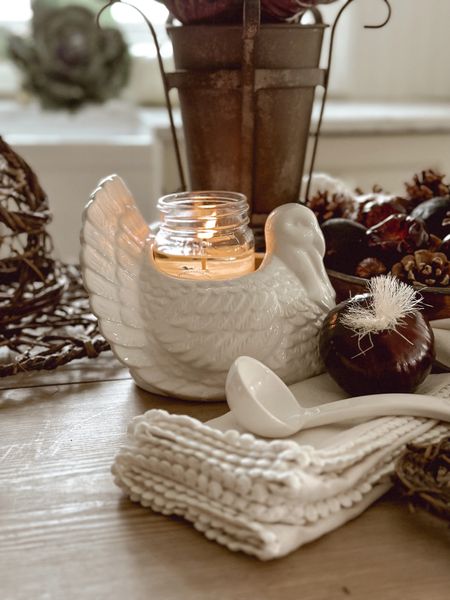 Cozy finds for thanksgiving that you can actually use all year long.. love that! 

#LTKSeasonal #LTKGiftGuide #LTKhome