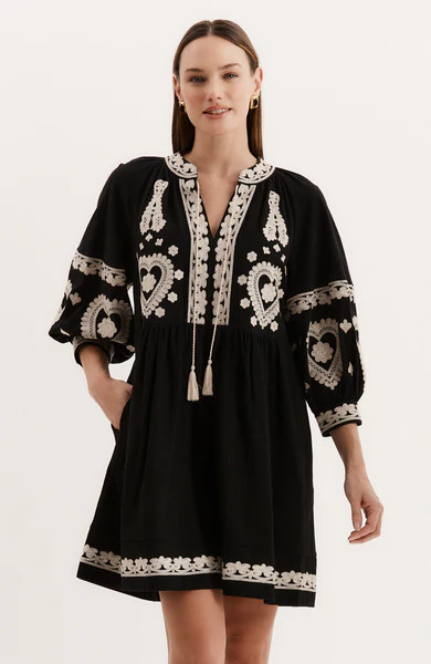 Carmen Embroidered Dress - Black | tyler boe