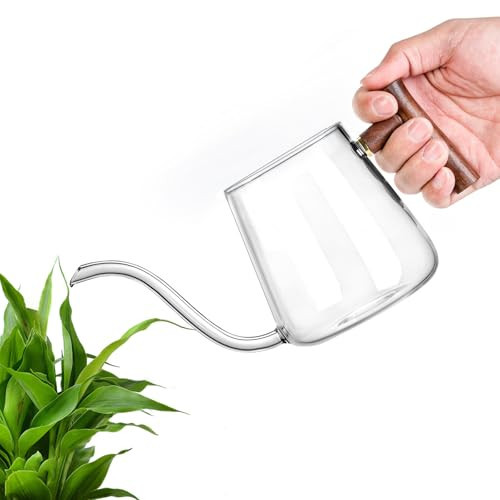 FrutPunch Watering Can Indoor Plants, 27 OZ Glass Watering Can，Visualization Glass Plant Watering Can, Indoor Watering Can with Long Curved Spout, Suitable for Indoor Plants, Bonsai Garden Decoration | Amazon (US)