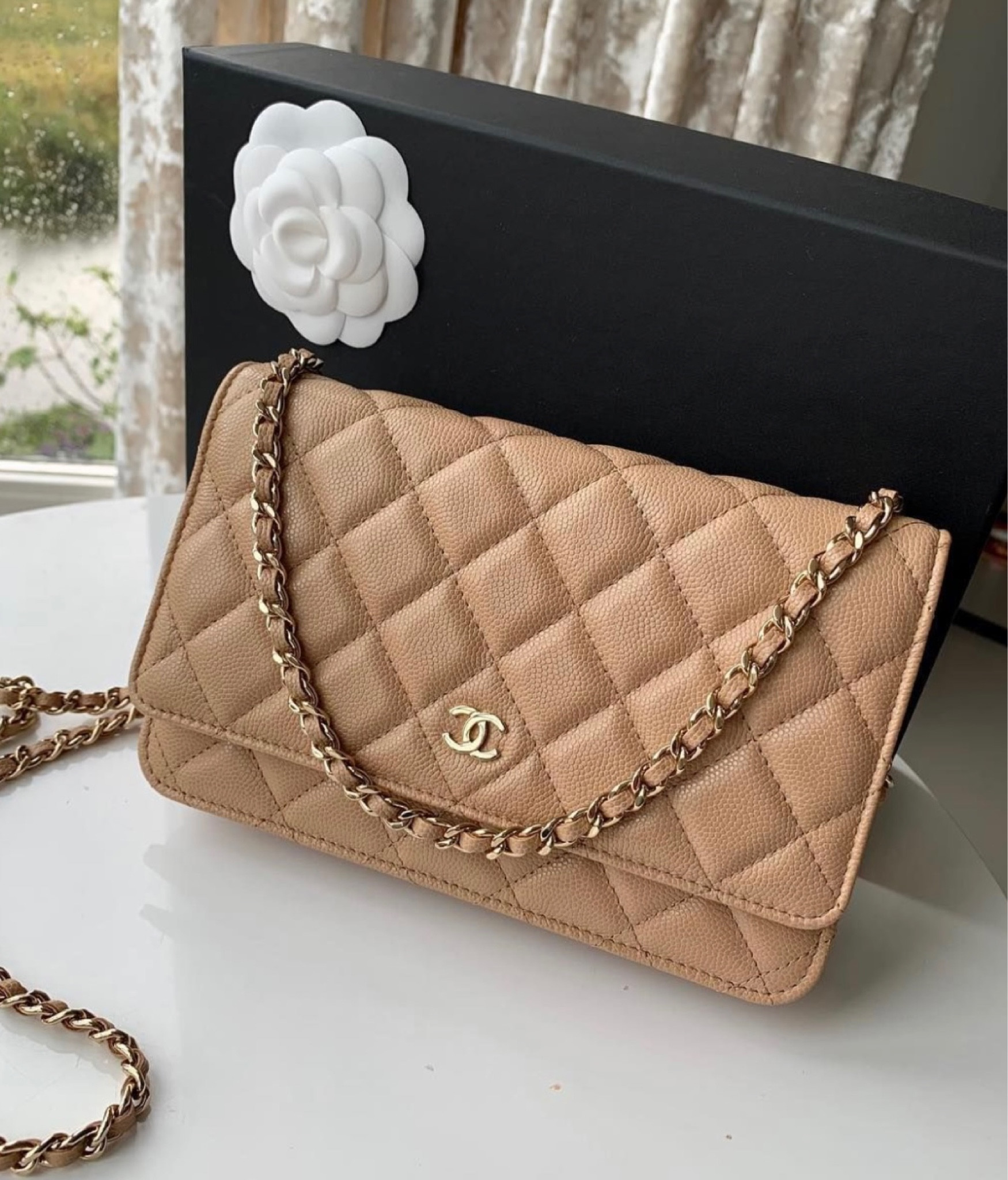 Chanel wallet on chain 🤍✨
#dhgate

#LTKitbag #LTKsalealert #LTKfindsunder100