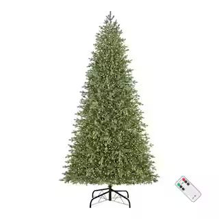 Home Decorators Collection 9 ft. Pre-Lit LED Elegant Grand Fir Artificial Christmas Tree 22WL1009... | The Home Depot