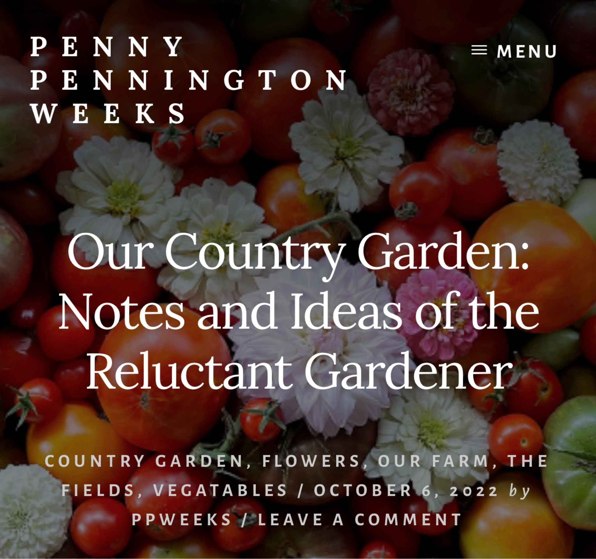 I’m sharing my September garden notes on the blog today. You can find me at pennypenningtonweeks.com. I’m including my sources for fall bulbs and flowers. Linked below is my favorite bulb planter, gardening journal and inspirational books.

#LTKSeasonal #LTKhome