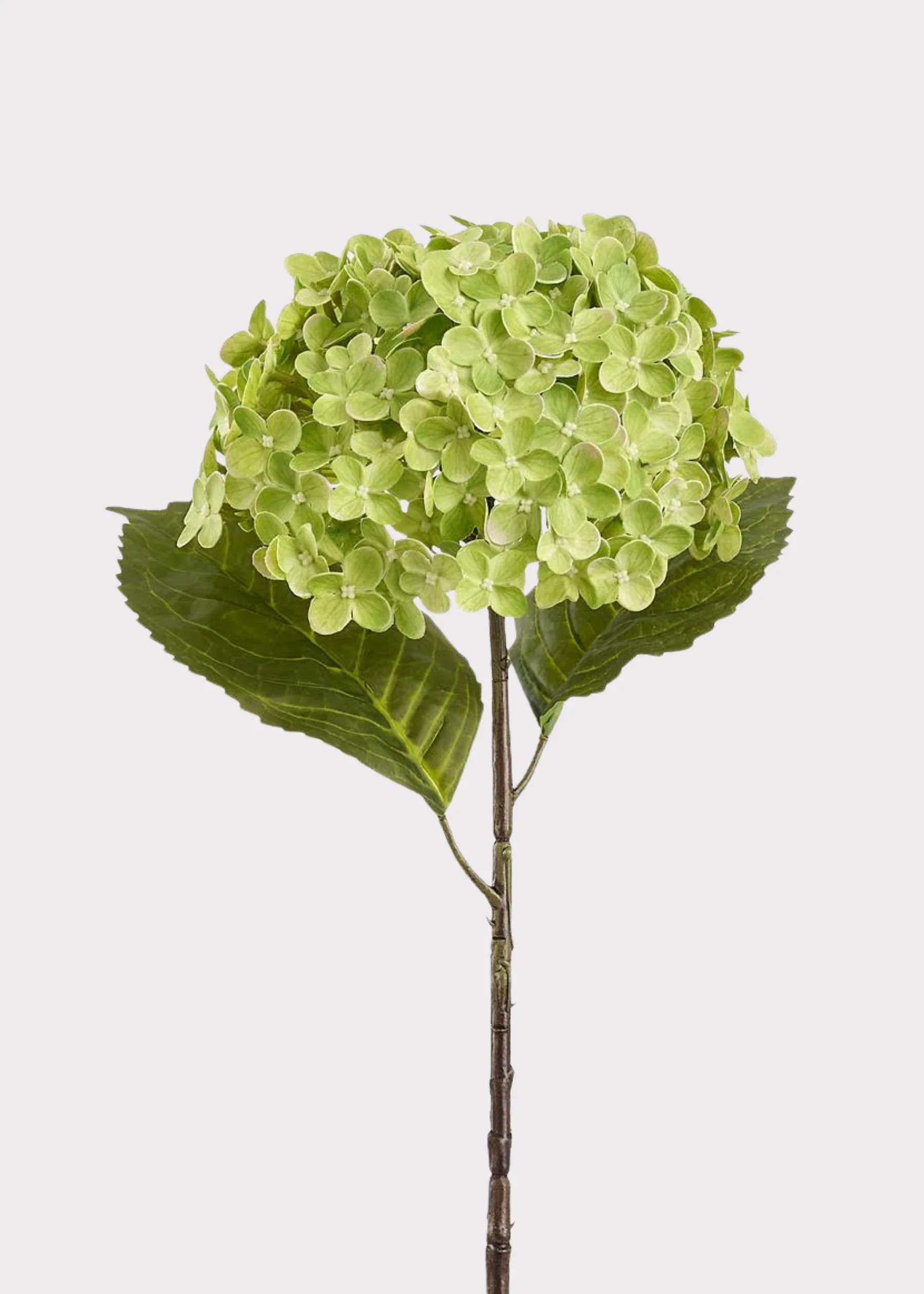 Artificial Hydrangea Flower in Green - 24.5" | Afloral