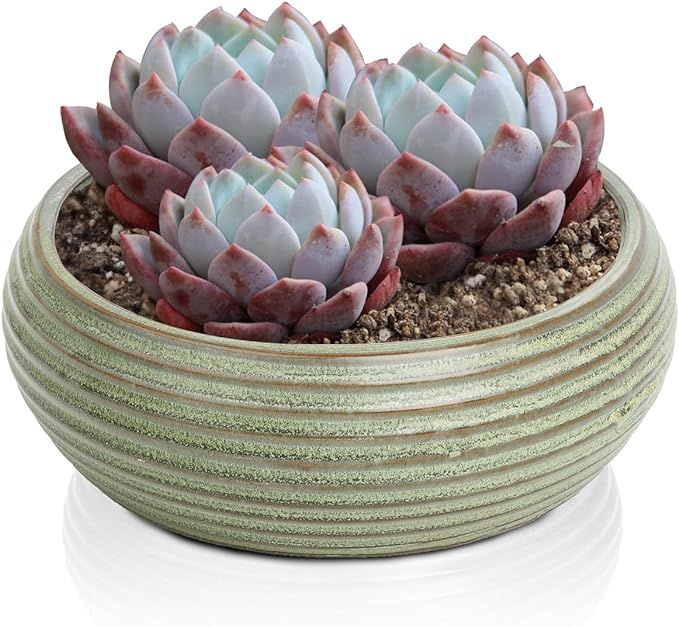 Mozing Retro Succulent Planter Ceramic Flower Pot for Indoor Outdoor, Cactus Planter Pot with Dra... | Amazon (US)