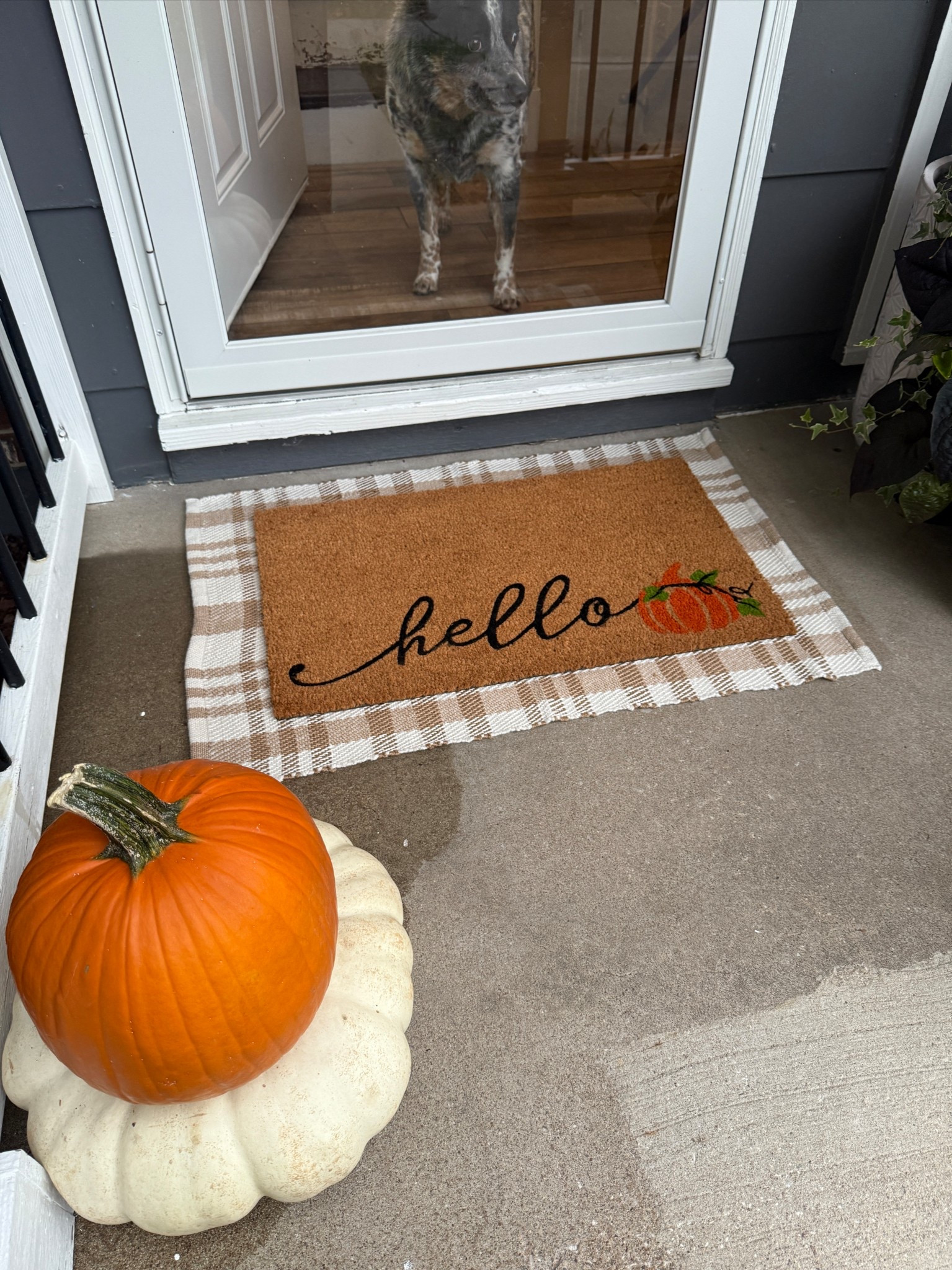 Front porch upgrade for fall🍂 The layering mat from AtHome is neutral enough to be versatile but still gives cozy fall vibes and the door mat from Hobby Lobby gives a simple, fall touch🎃
Fall home decor, fall decor, home decor, front porch decor. 

#LTKHalloween #LTKHome #LTKSeasonal
