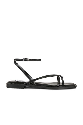 Steve Madden Agree Sandal in Black from Revolve.com | Revolve Clothing (Global)
