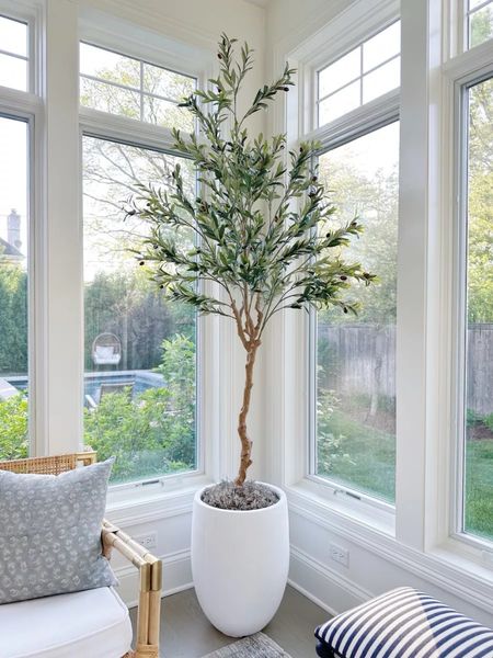 Sharing my new fave Amazon faux olive tree! I used the 7 foot option, and paired with this gorgeous planter! Perfect for your living room or bedroom!

(4/24)

#LTKhome #LTKstyletip