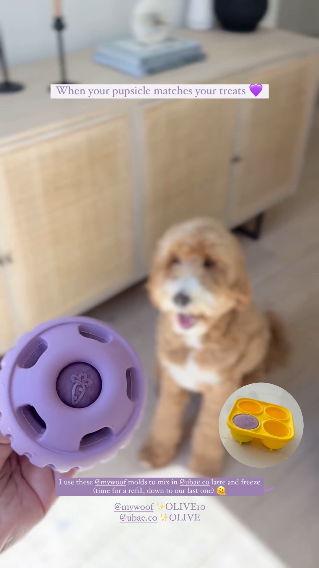 Enrichment toys for dogs, pupsicle, mywoof, puzzle toys, pet essentials 

#LTKHome #LTKVideo