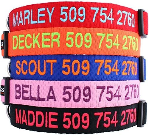 GoTags Personalized Dog Collar, Custom Embroidered with Pet Name and Phone Number in Blue, Black,... | Amazon (US)