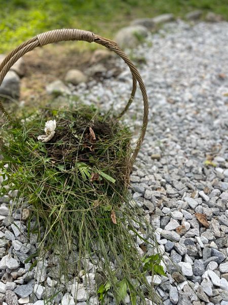 A favorite gathering basket from At Home Stores they can stay outside! Even filled with weeds, it’s pretty 🌿

Garden gear, Fall, outdoor decor, gardening, flower basket, wicker, rattan

#LTKfindsunder50 #LTKhome #LTKSeasonal