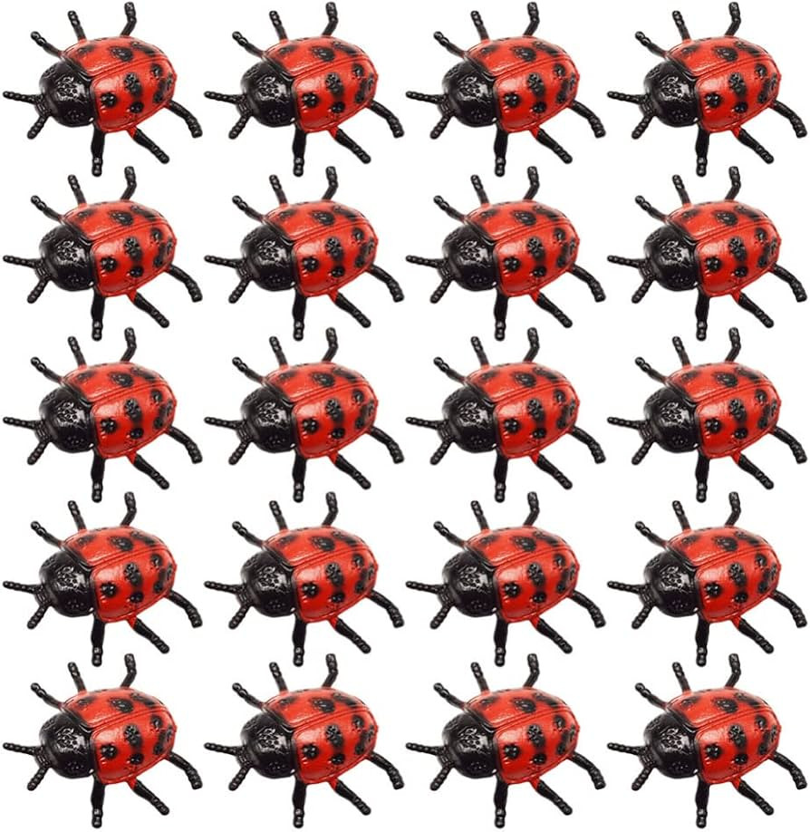 NUOBESTY | Amazon (US)