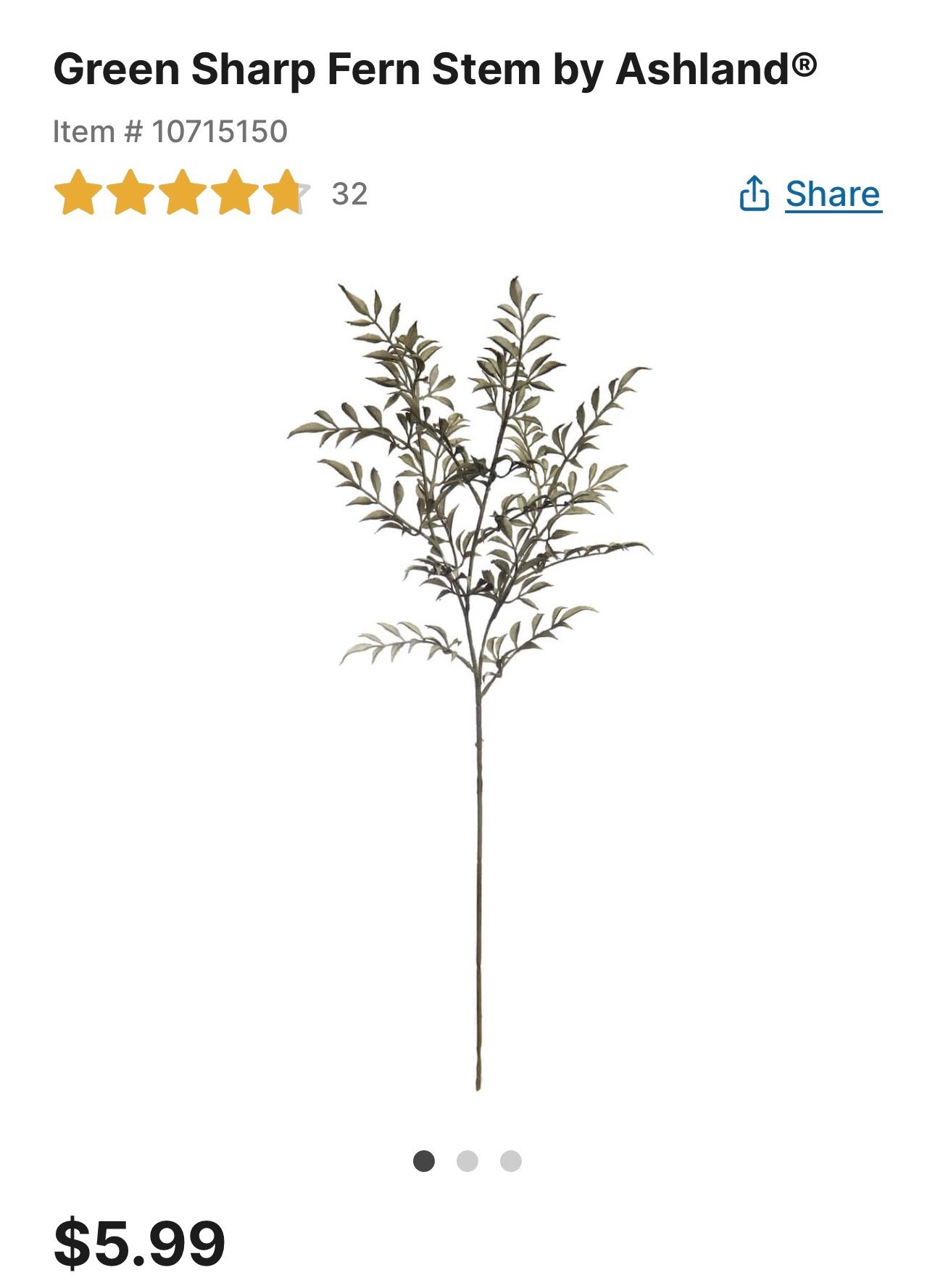 Green Ferm Stems from Michael’s


#LTKSeasonal #LTKFindsUnder50 #LTKHome